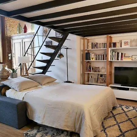 Ferienwohnung Authentic Loft With Mezzanine & Exposed Stones Heart Of Lyon Exterior foto